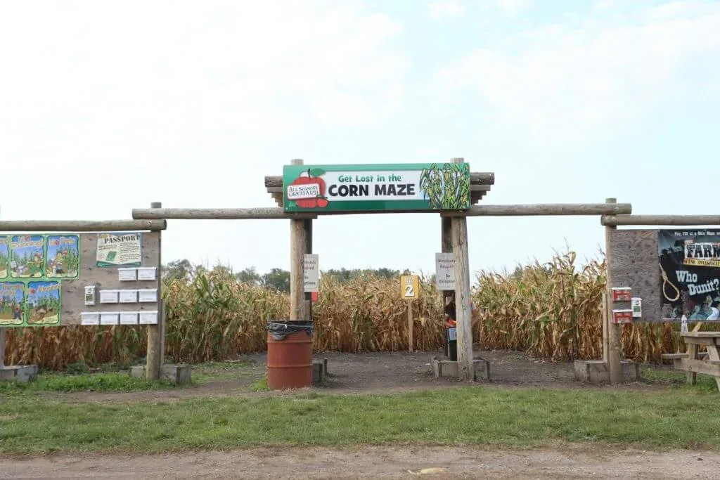 Corn maze entrance at All Seasons Orchard