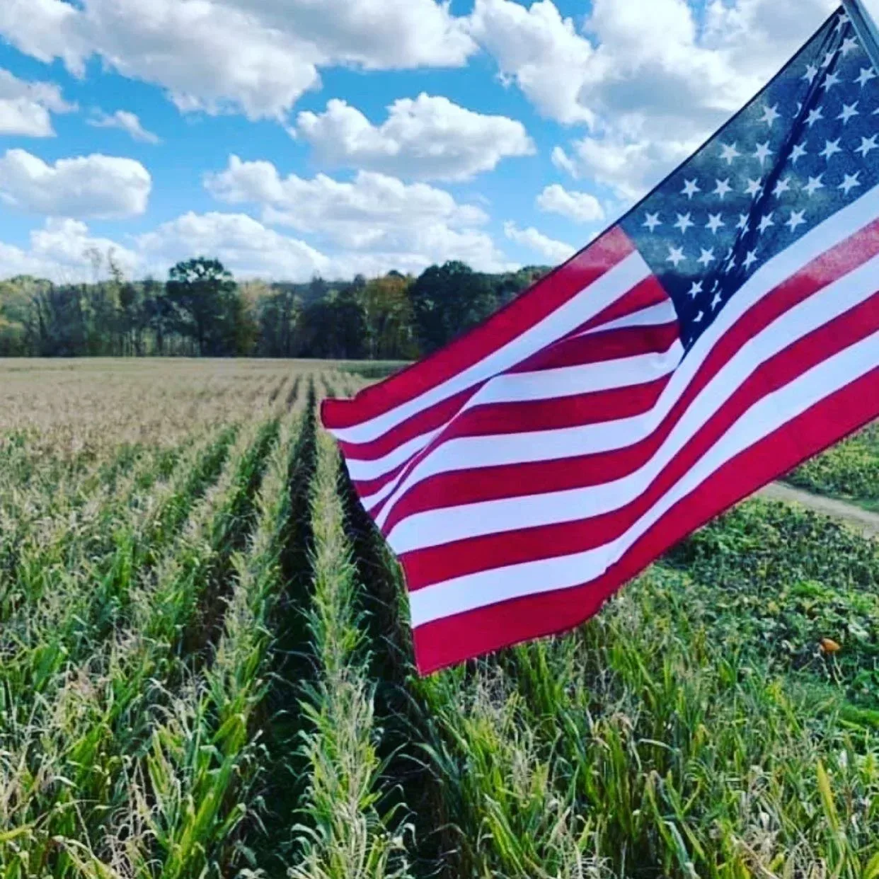 An American flag above corn maze paths at Armstrong Artisan Farm