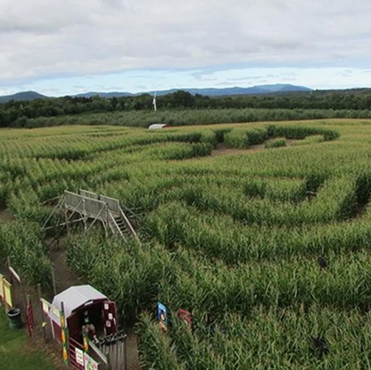 Paths and wooden bridges in the corn maze at Barton Orchards