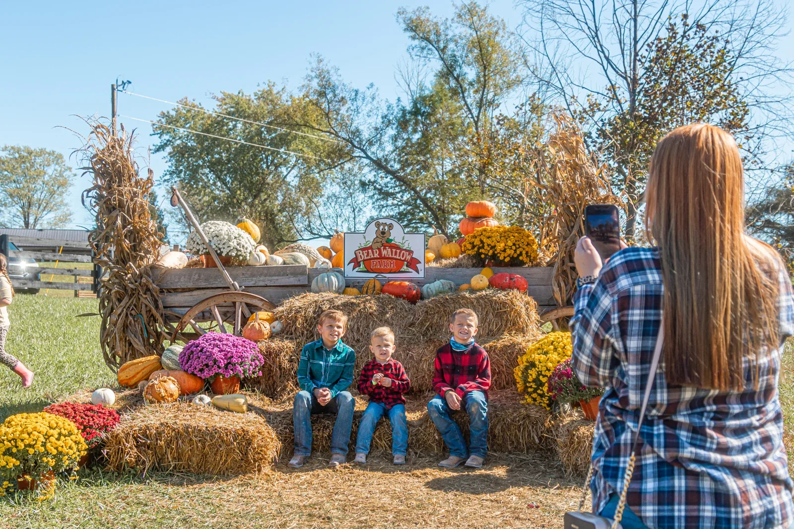 Visitors at a farm display at Bear Wallow Farm