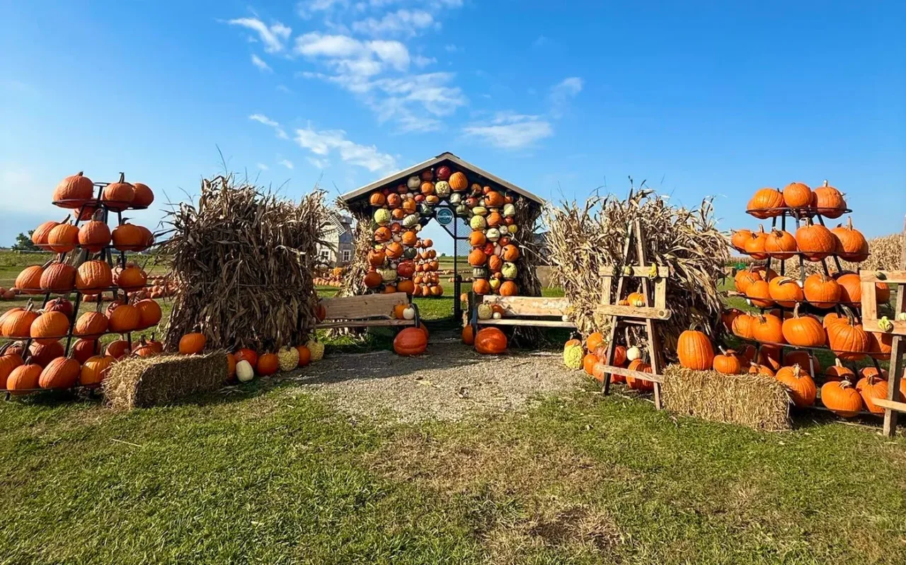 A pumpkin house and fall displays at Bloomsbury Farm