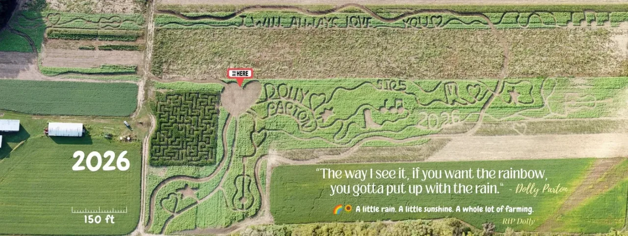 Aerial view of Burwinkel Farms’ 2026 corn maze design