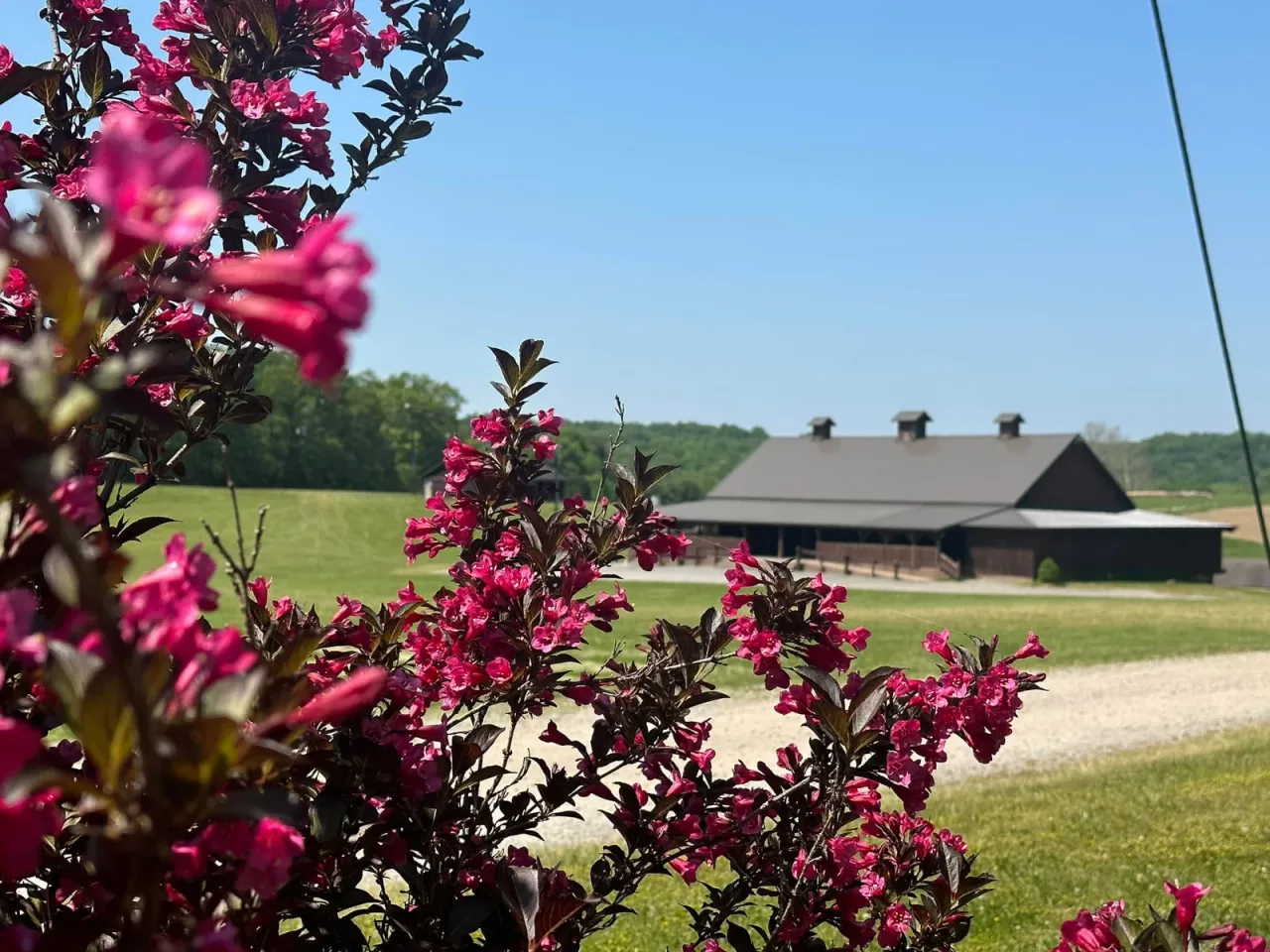 The red barn at Cheeseman Farm, with trees and a field in front