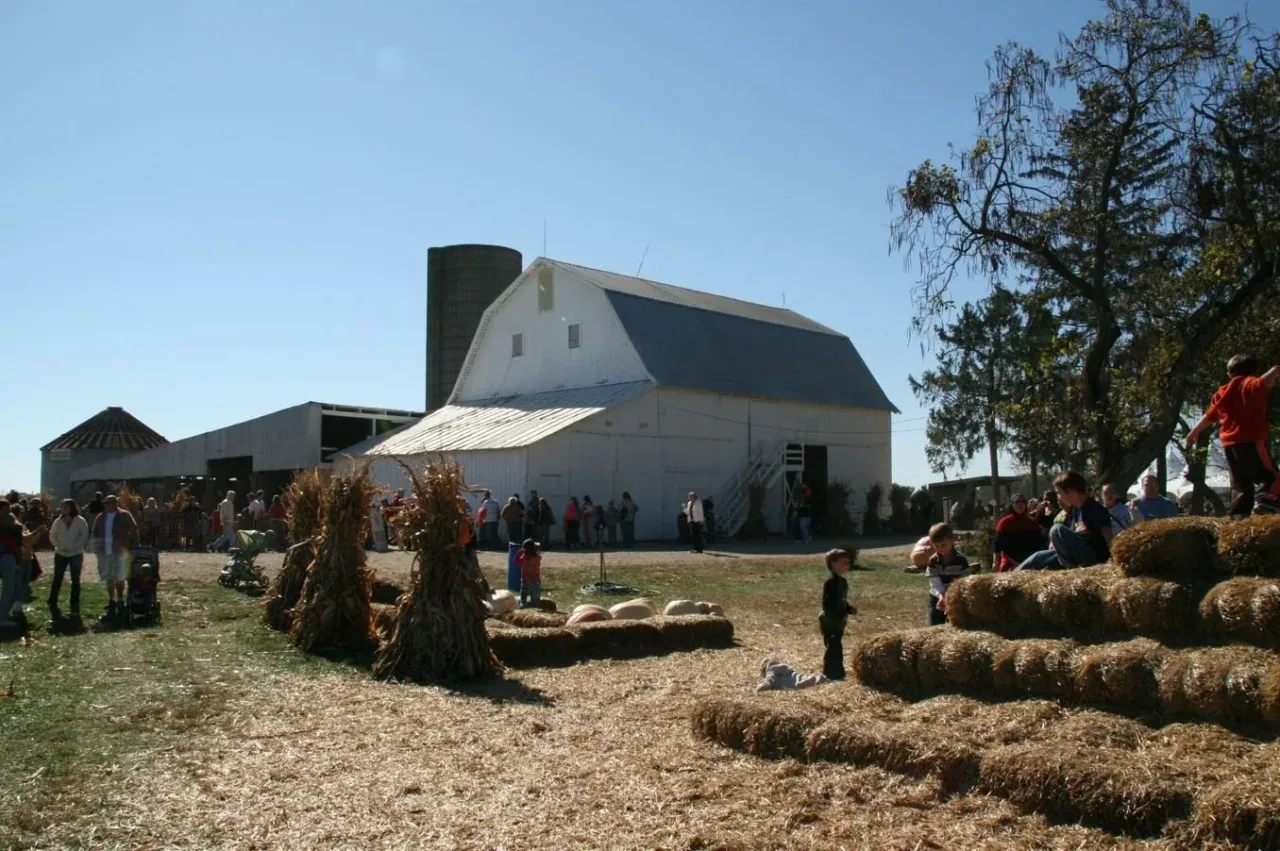 Visitors and hay play area outside the Circle S Farms barn