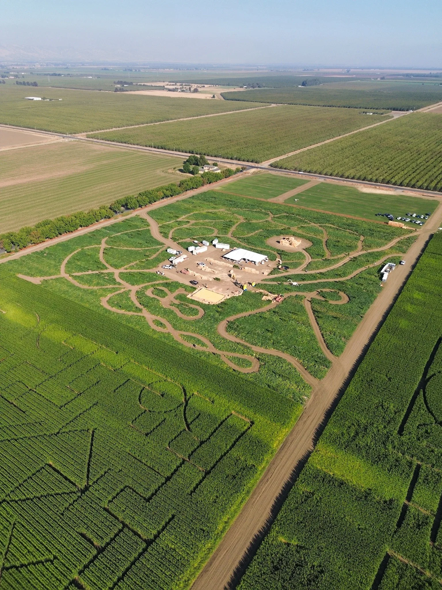 An aerial view of Cool Patch Pumpkins’ corn maze and surrounding fields