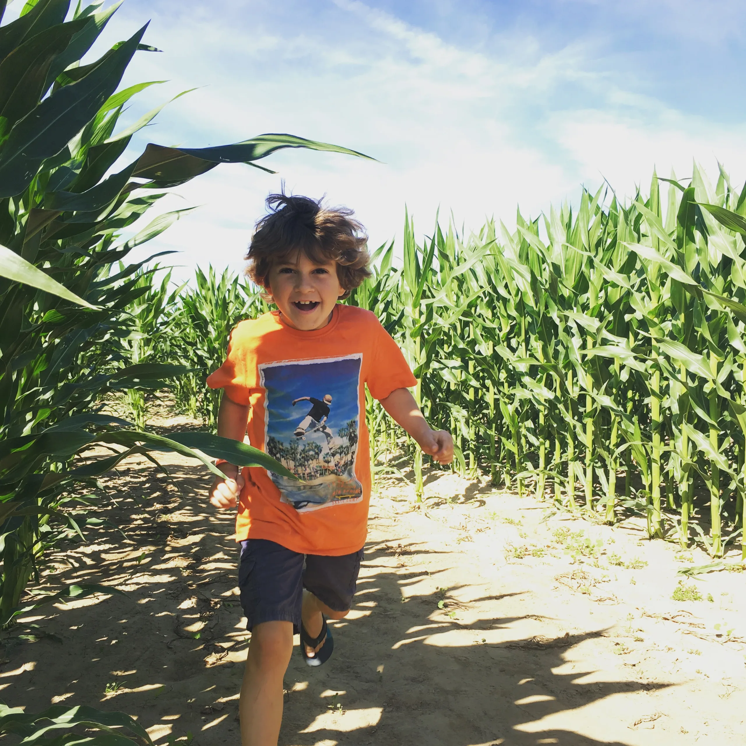 A young visitor on a corn-maze path at Dave’s Pumpkin Patch