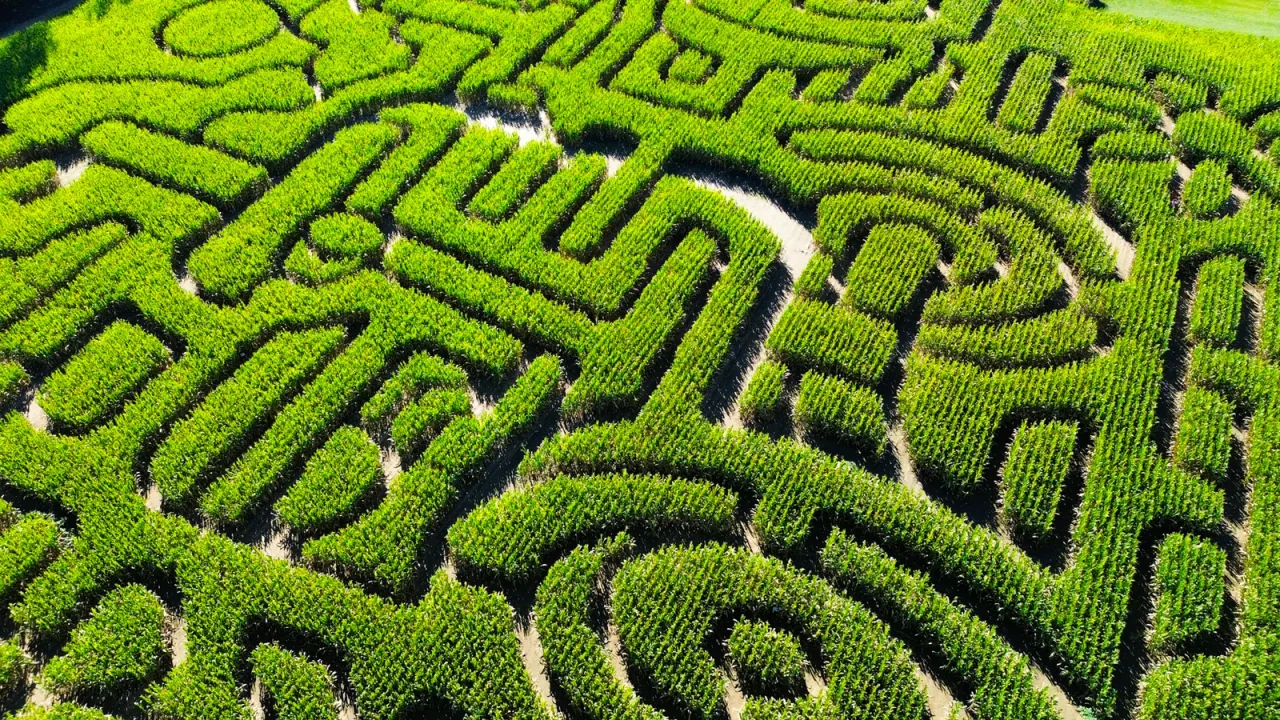 An aerial view of a corn maze at DeBuck’s Family Farm