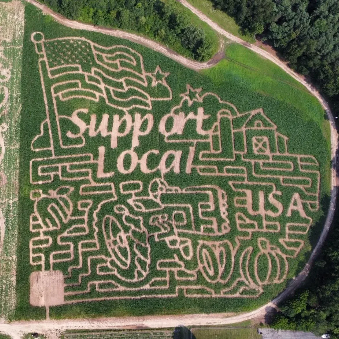 An aerial view of an earlier corn maze at Deep Roots Produce