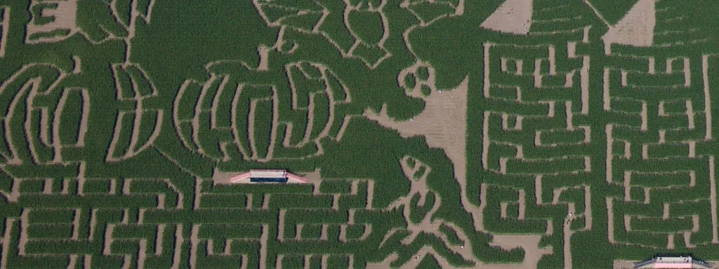 An archive aerial photograph of Dell’Osso Family Farm’s corn-maze paths