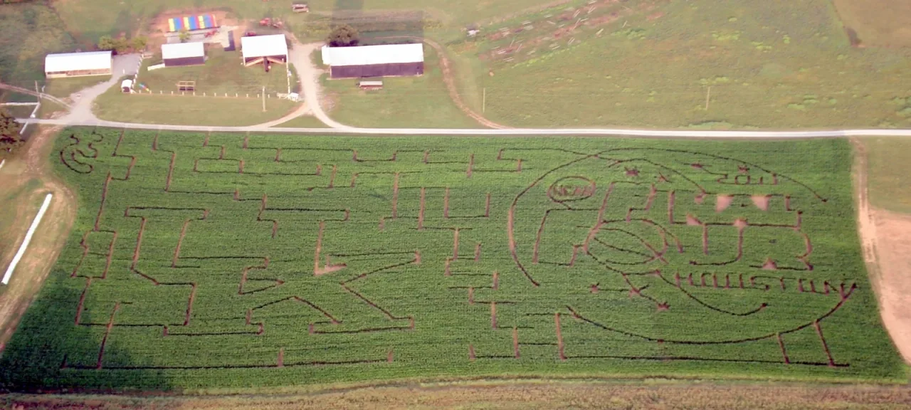 An aerial photograph of winding corn maze paths at Devine’s Corn Maze