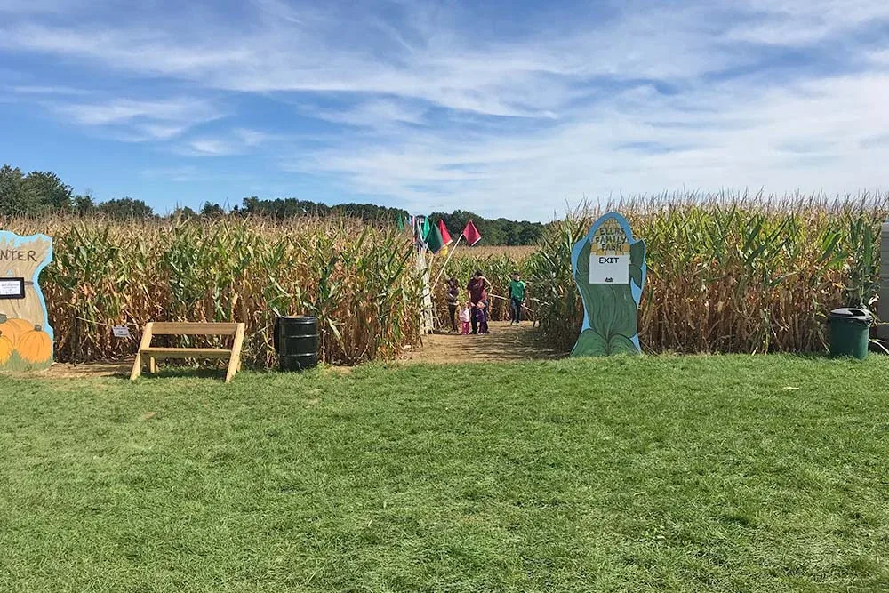 Visitors at the corn maze entrance at Ellms Family Farm