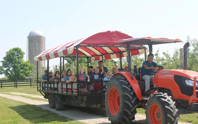 A tractor pulling a farm wagon at Evans Orchard