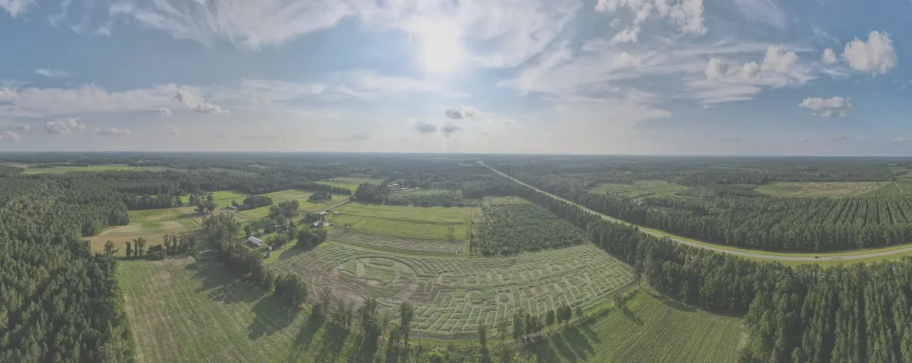 An aerial view across Galloway Farm’s corn maze