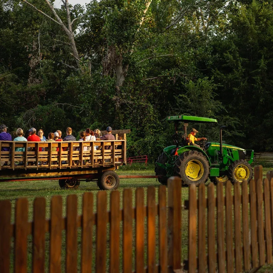 Visitors riding a tractor-drawn hayrack wagon at Gary’s Farm Fest