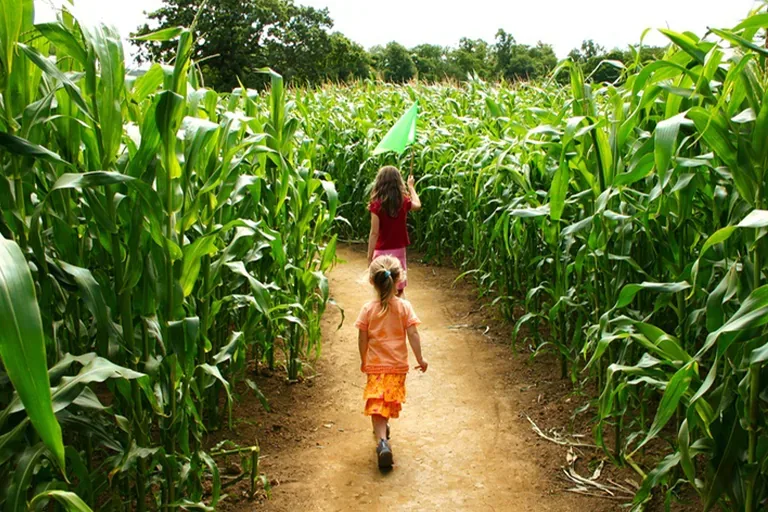 Two children walking through the Great Godfrey Maze