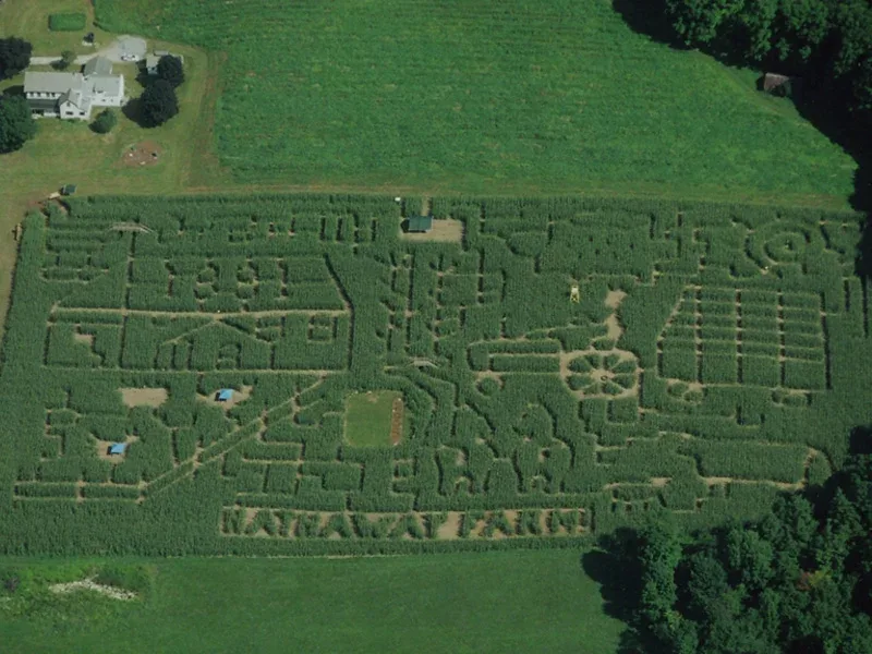 An aerial view of a past corn maze with the Hathaway Farm name cut into the field