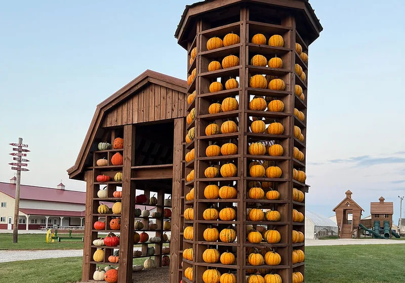 Wooden towers lined with orange pumpkins beside the play area at Heap’s