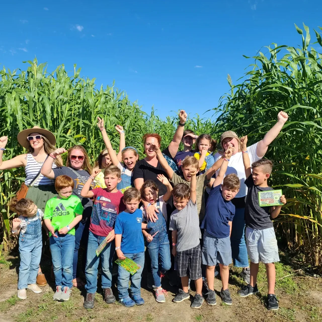 A group of visitors beside the corn at Hubb’s Farm