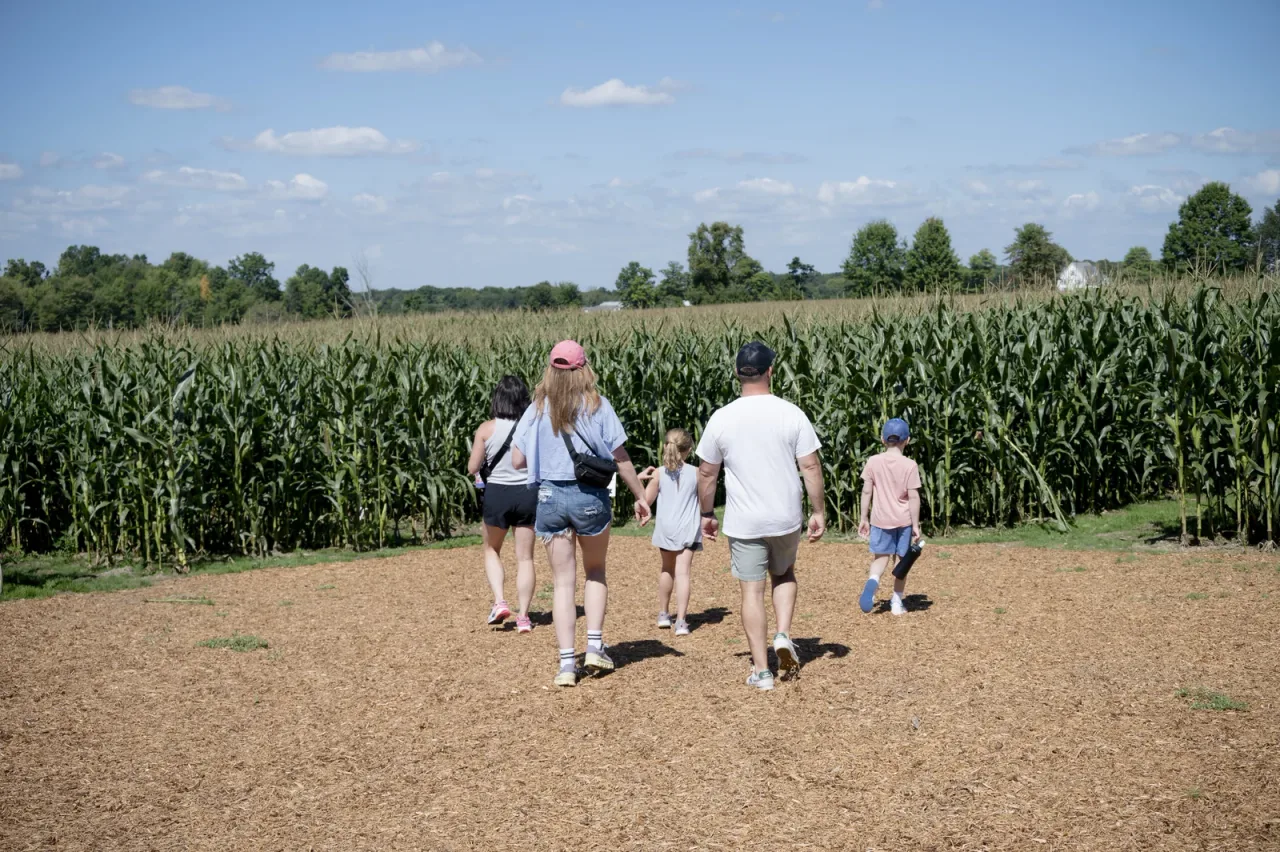 A family walking into a corn maze entrance at Irons Mill Farmstead
