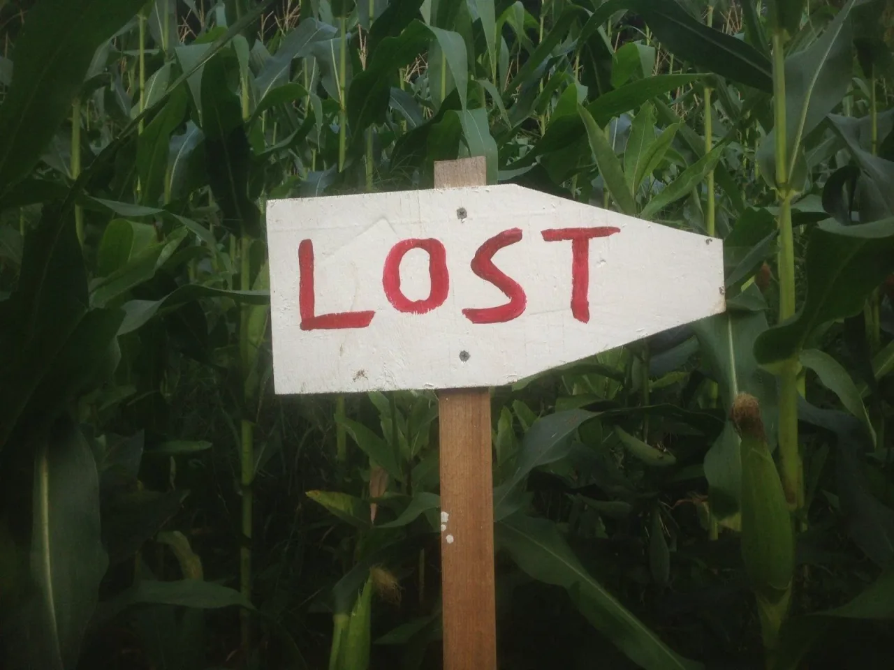 A hand-painted Lost arrow beside a corn maze path at Isham Family Farm