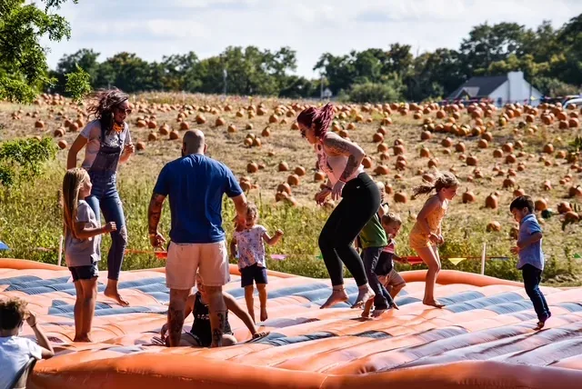 Visitors on a jumping pad beside the pumpkin field at Jackson Family Farm