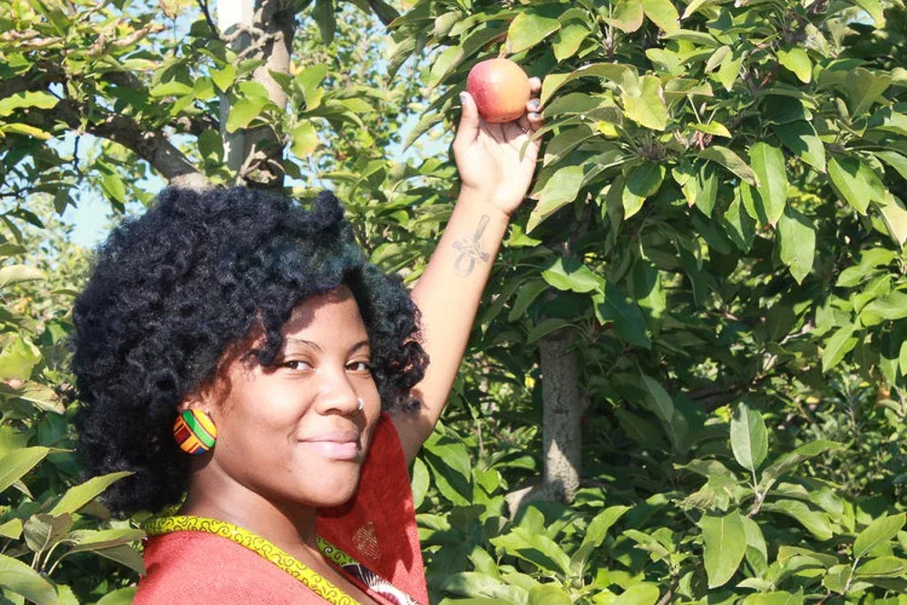 A visitor picking an apple at Jackson’s Orchard