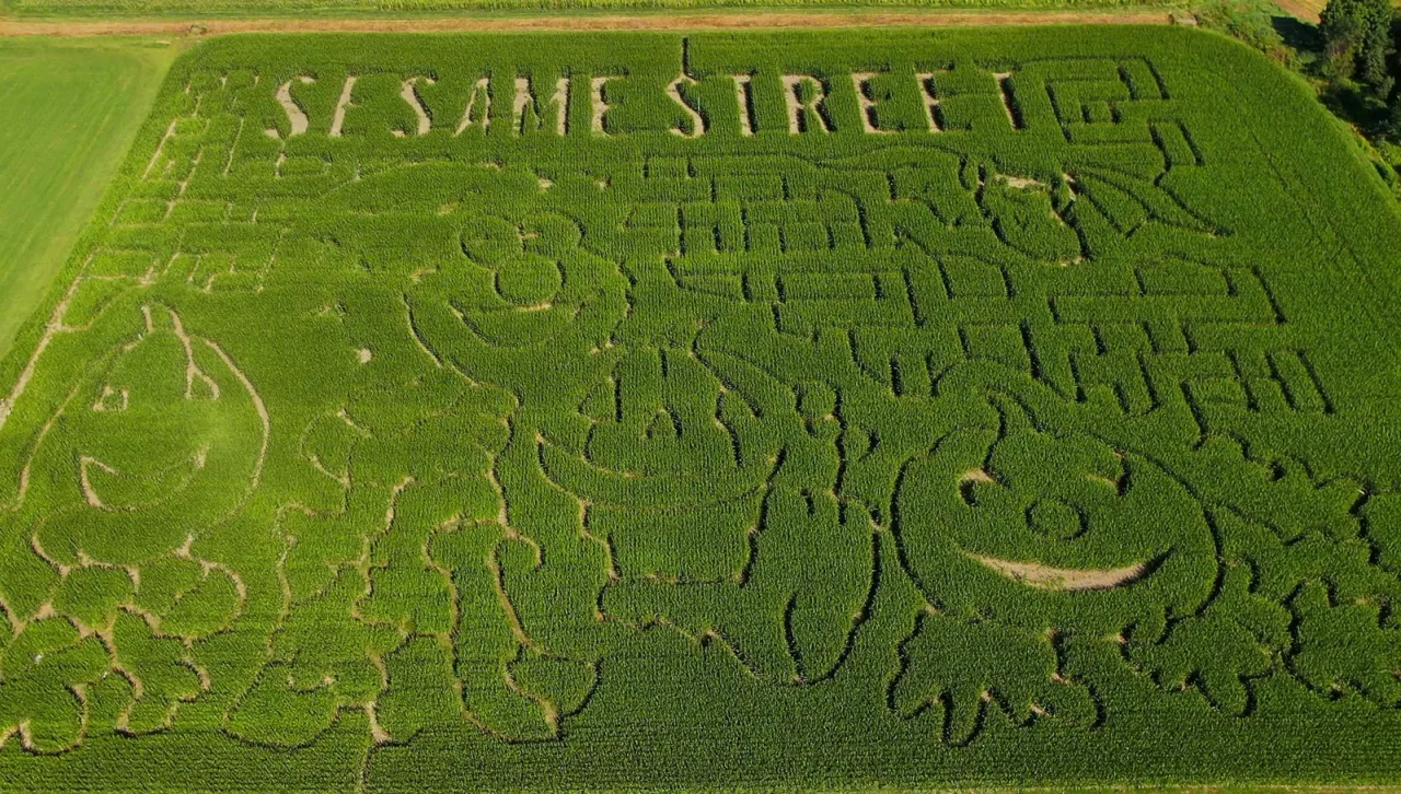 An aerial view of Kingdom Corn Maze’s 2025 Sesame Street design