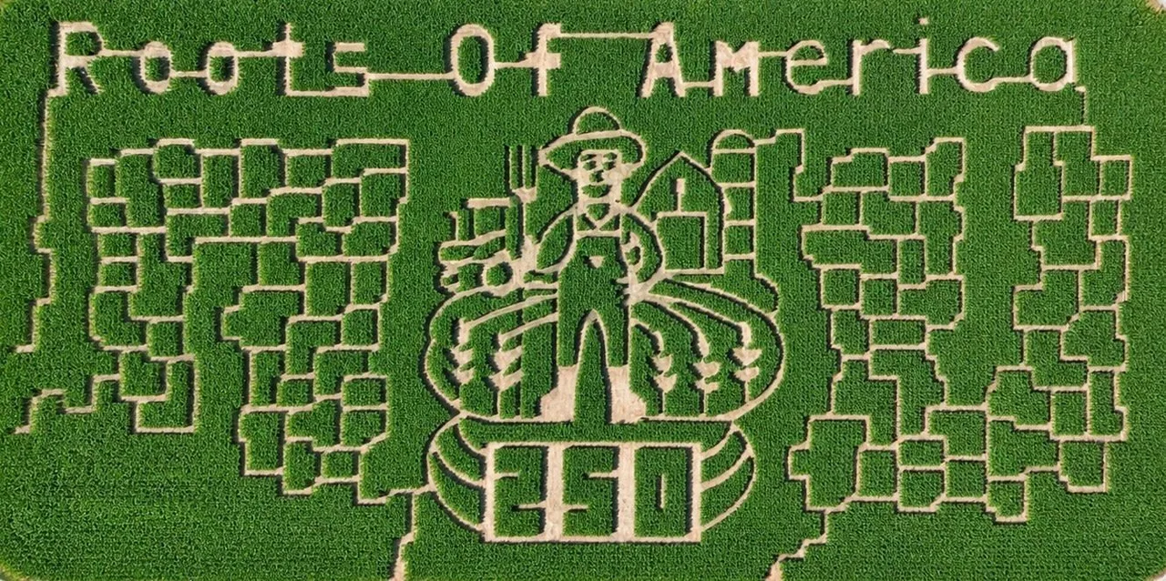 An aerial view of Kroll’s Roots of America corn maze, featuring a farmer and winding paths