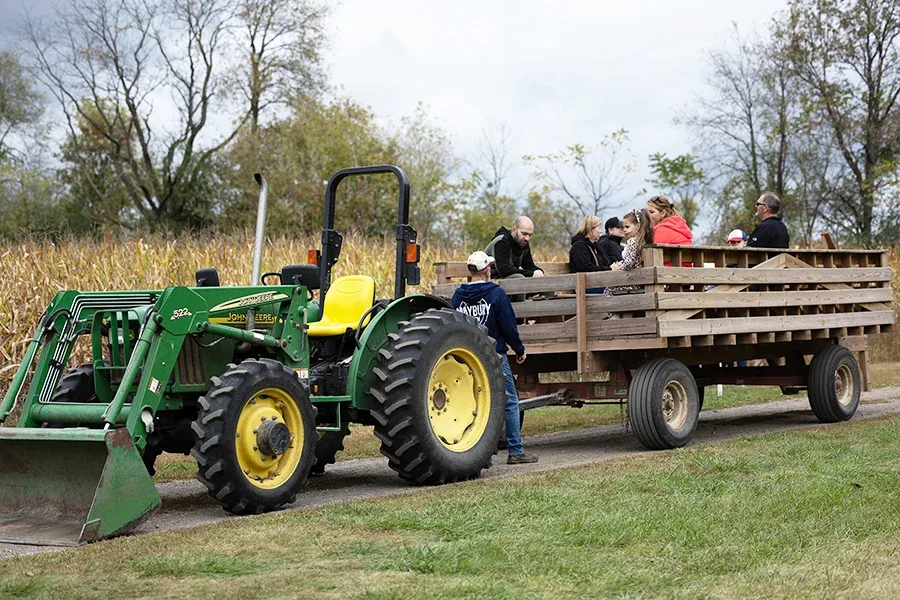 A tractor pulling a wagon of visitors at Maybury Farm