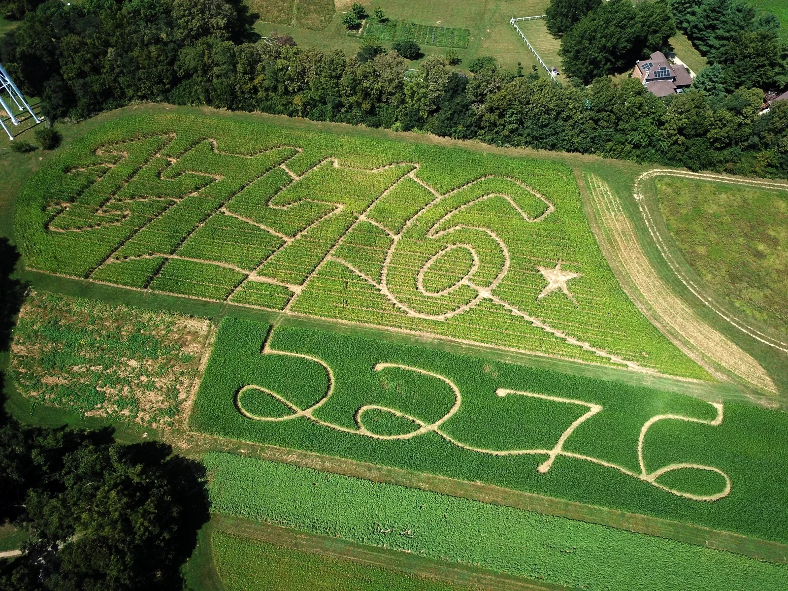 An aerial photograph of the corn maze at Middle Springs Farm