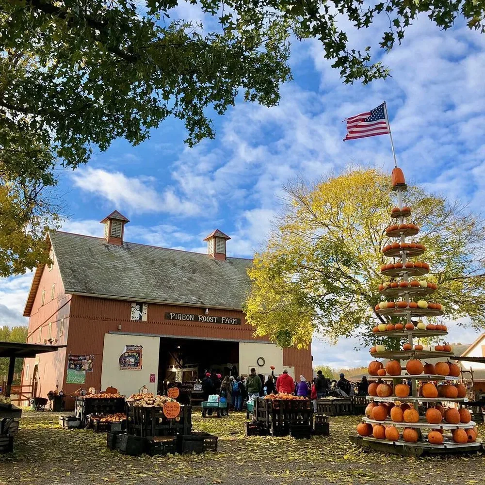 Pigeon Roost Farm barn and pumpkin display