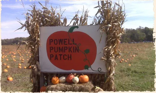 The Powell Pumpkin Patch sign beside pumpkins and corn stalks
