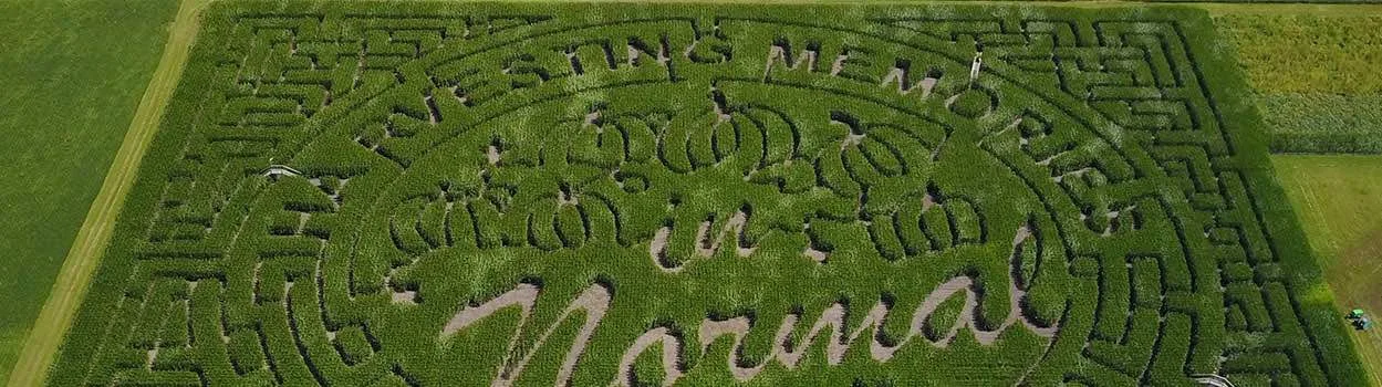An aerial archive photograph of a corn maze at Rader Family Farms