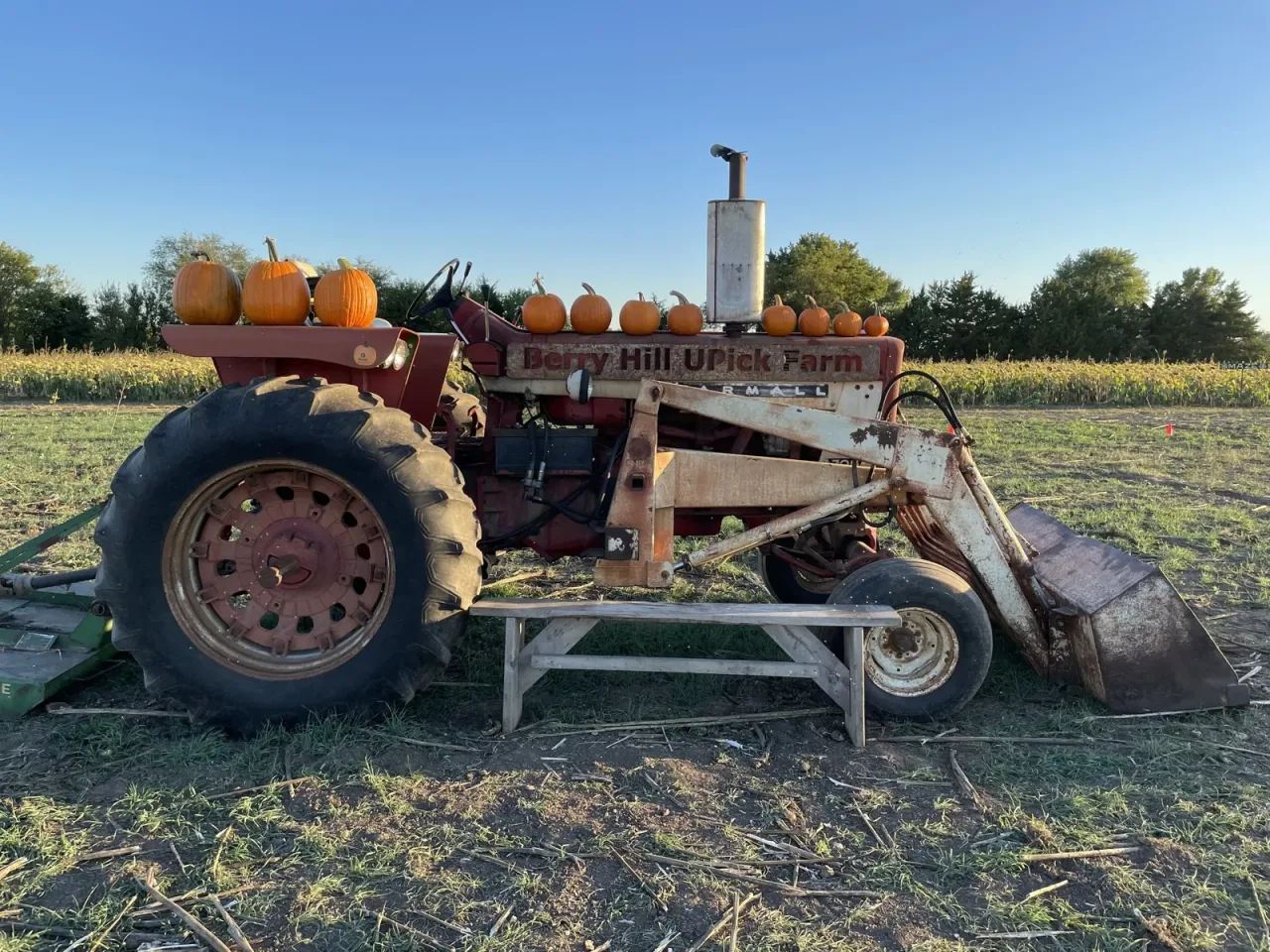 Pumpkins displayed on an antique tractor at Shively Farms