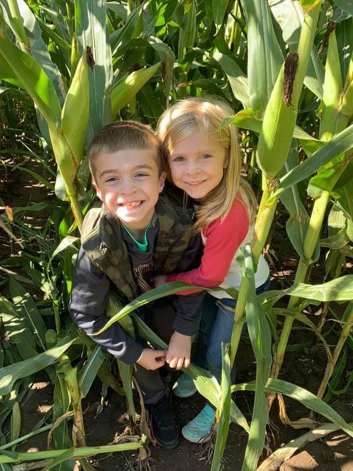 Two children standing among tall corn at Stade’s Farm & Market