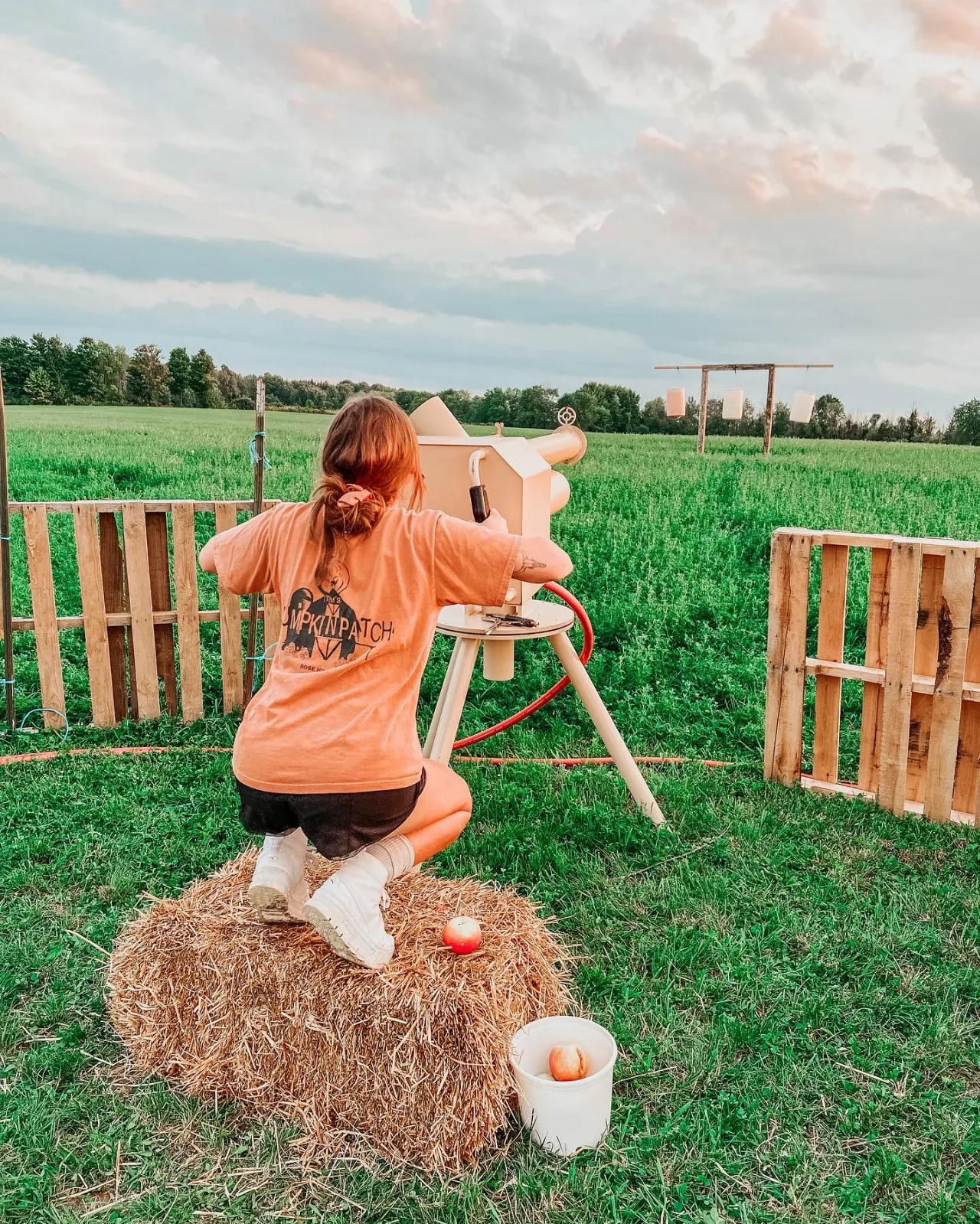 A visitor beside the corn and hay bales at Tim’s Pumpkin Patch