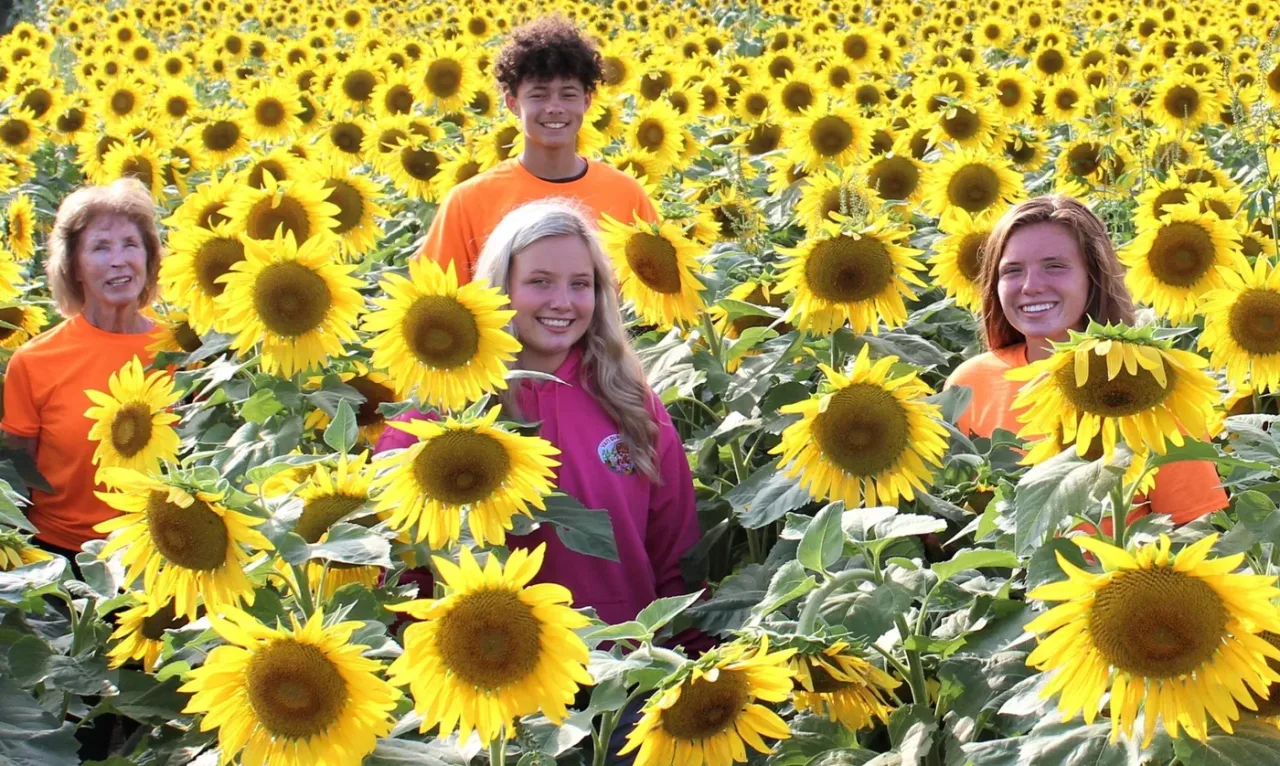 Van Buren Acres team members standing in a sunflower field